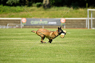 Stylish Motion`s Apple